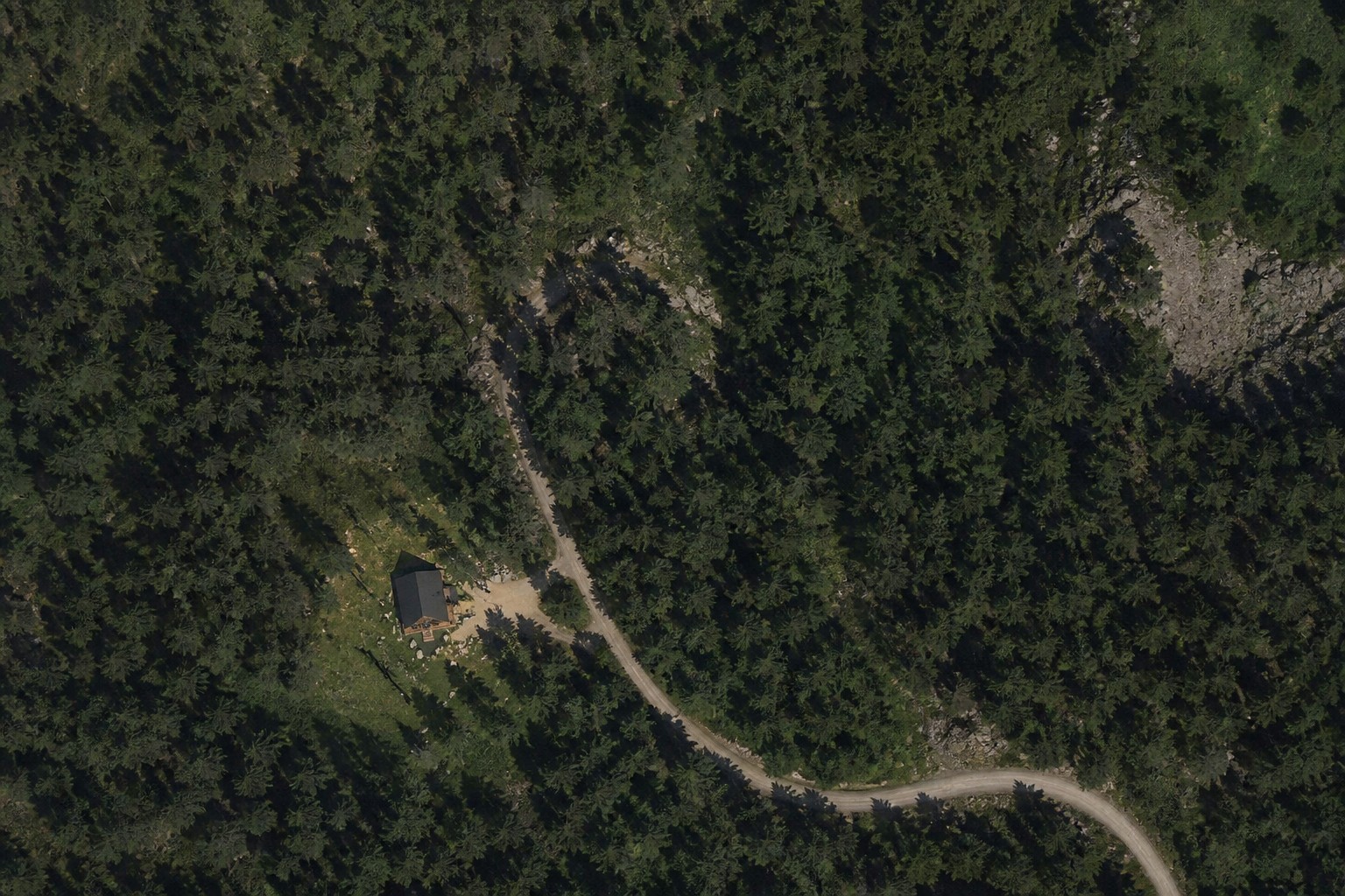 Vista aérea da cabana na floresta